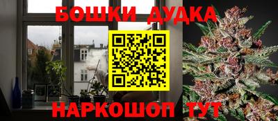 прущие грибы Новокубанск