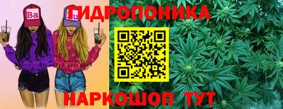 ALPHA PVP Новозыбков
