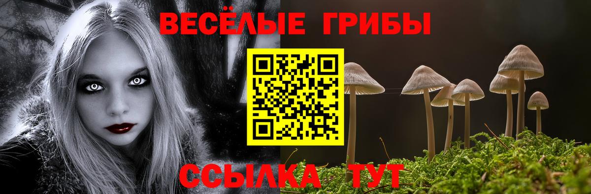 Псилоцибиновые грибы мухоморы Солнечногорск